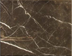 Portor dourado LM-S5811